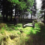 Manifestarea-unor-fenomene-de-instabilitate-cimitir-Sinaia,-jud.-Prahova