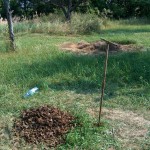 Auger_1