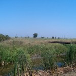 Traversare parau Varias cu COLECTOR TITEI PARC LOVRIN ľ DEPOZIT SATCHINEZ